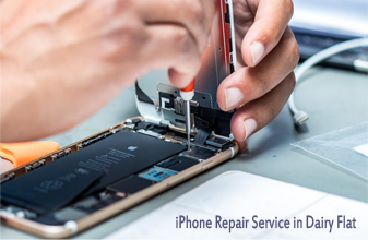 iPhone Repair Service Center in Dairy Flat