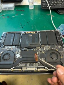 Can MacBook Be Damage By Insect - electronicsrepair.co.nz